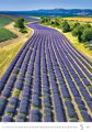 Provence 2025, nástěnný kalendář, prodloužená záda